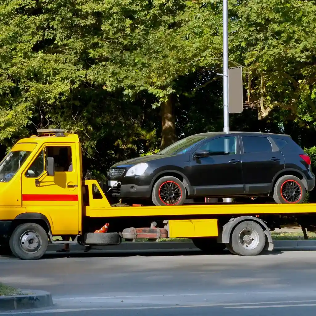 Car Transportation in Panvel